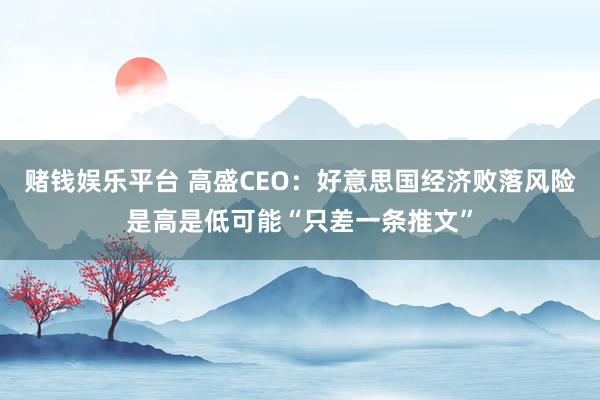 赌钱娱乐平台 高盛CEO：好意思国经济败落风险是高是低可能“只差一条推文”