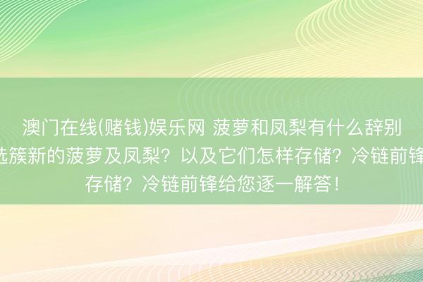 澳门在线(赌钱)娱乐网 菠萝和凤梨有什么辞别？咱们怎样挑选簇新的菠萝及凤梨？以及它们怎样存储？冷链前锋给您逐一解答！